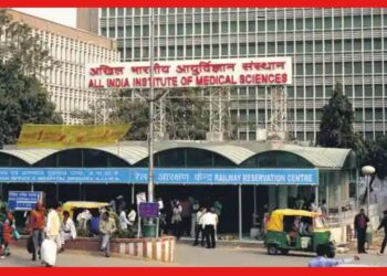 AIIMS Hospital: চার বছরের শিশুর খাবারের ভাসছে আরশোলা! প্রশ্নের মুখে ফের দিল্লির AIIMS