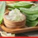 Aloe Vera business: প্রতি মাসে অর্থ উপার্জন, অ্যালোভেরা জেল তৈরির ব্যবসায় ইনভেস্টমেন্ট কত?