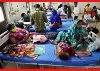 Dengue Death: বেলেঘাটা আইডিতে মৃত্যু ডেঙ্গি আক্রান্ত মহিলার, ক্রমশ বাড়ছে উদ্বেগ