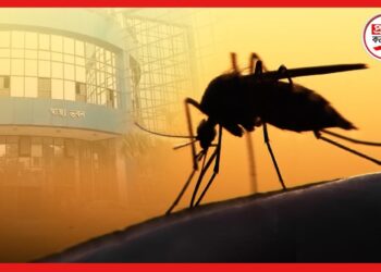 Dengue Guideline: ডেঙ্গির হটস্পট হয়ে উঠেছে রাজ্য! বিশেষ গাইডলাইন প্রকাশ স্বাস্থ্য দফতরের