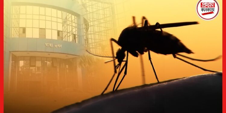 Dengue Guideline: ডেঙ্গির হটস্পট হয়ে উঠেছে রাজ্য! বিশেষ গাইডলাইন প্রকাশ স্বাস্থ্য দফতরের