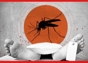Dengue Death: ডেঙ্গির থাবায় একের পর এক মৃত্যু, মালদায় প্রাণ হারালো ১৩ বছরের কিশোর