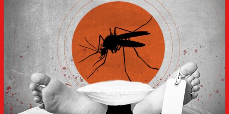 Dengue Death: ডেঙ্গির থাবায় একের পর এক মৃত্যু, মালদায় প্রাণ হারালো ১৩ বছরের কিশোর