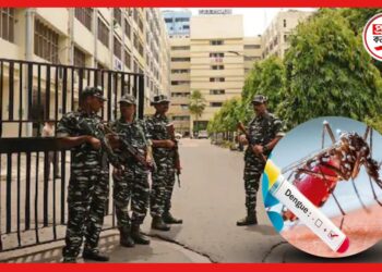 CGO Complex: ডেঙ্গির আতঙ্ক এবার সিজিও কমপ্লেক্সেও! তড়িঘড়ি লোক পাঠাল পুরনিগম