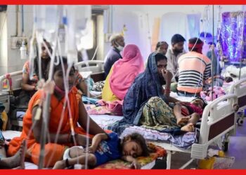 Child Dengue: বাড়ছে শিশুদের ডেঙ্গি আক্রান্ত হওয়ার হার, কী কী সাবধানতা মেনে চলবেন অভিভাবকরা?