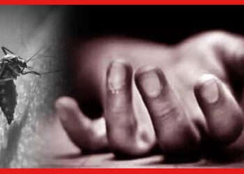 Dengue Death: শহরে তাপমাত্রার পারদ নামলেও কমছে না ডেঙ্গির আতঙ্ক, মৃত্যু আরও একজনের