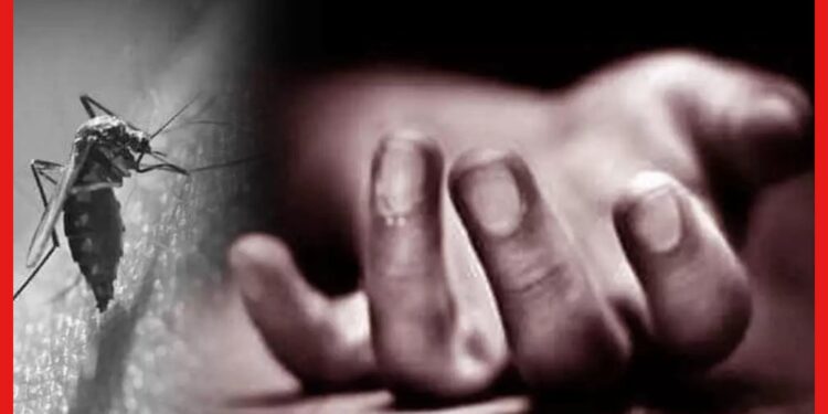 Dengue Death: শহরে তাপমাত্রার পারদ নামলেও কমছে না ডেঙ্গির আতঙ্ক, মৃত্যু আরও একজনের