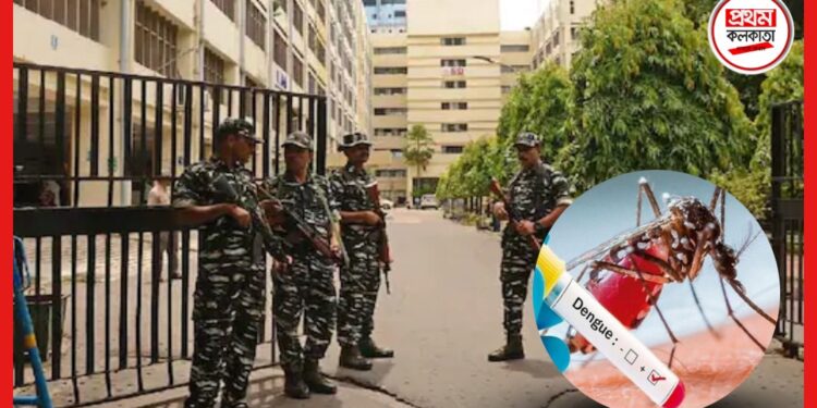 CGO Complex: ডেঙ্গির আতঙ্ক এবার সিজিও কমপ্লেক্সেও! তড়িঘড়ি লোক পাঠাল পুরনিগম