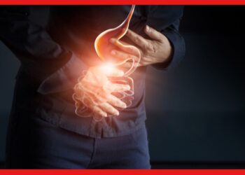 Prevention of Indigestion : হজমের সমস্যায় নাজেহাল? স্বস্তি পেতে বদল আনতে হবে যে অভ্যাসে