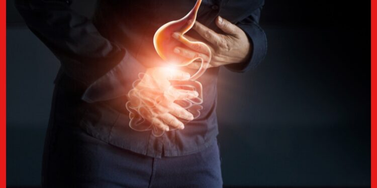 Prevention of Indigestion : হজমের সমস্যায় নাজেহাল? স্বস্তি পেতে বদল আনতে হবে যে অভ্যাসে