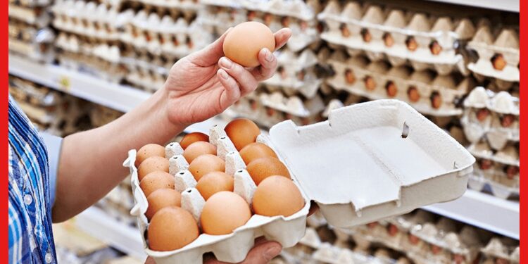 Egg Price Hike: বাজারে চড়ছে ডিমের দাম, একজোড়া এখন বিকোচ্ছে কততে?