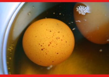 Virgin Boy Egg: জল নয়, প্রস্রাবে ডিম সিদ্ধ করে চীনের মানুষরা! নেপথ্যে আশ্চর্য কারণ
