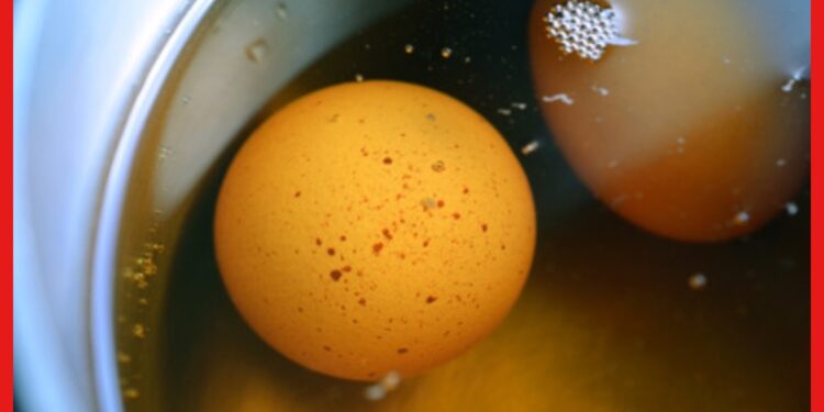 Virgin Boy Egg: জল নয়, প্রস্রাবে ডিম সিদ্ধ করে চীনের মানুষরা! নেপথ্যে আশ্চর্য কারণ