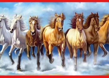 Horse pocture: বাড়িতে সাত ঘোড়ার ছবি অনেকেই রাখেন, তা কোন দিকে রাখলে সুফল মিলবে জানেন কি?