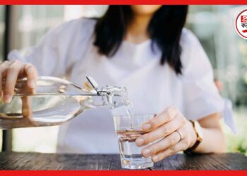 Tips for Staying Hydrated: শীত আসতেই কমেছে জল খাওয়া ? ঘাটতি পূরণ করবে এই খাবারগুলি