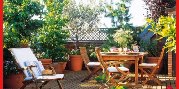 Rooftop Garden Tips: সামান্য খরচেই হবে দুর্দান্ত ছাদ বাগান! বীজ কেনা থেকে পরিচর্যা, জানুন খুঁটিনাটি