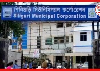 Siliguri: ডেঙ্গি সহ দূষণ কমাতে অভিনব উদ্যোগ, প্লাস্টিকের বদলে বিনামূল্যে চাল দেবে পুরসভা