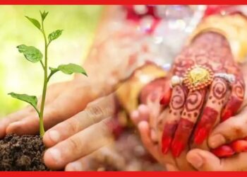 Unique Invitation Card: আমন্ত্রণপত্র হারিয়ে গেলেও বাঁচবে গাছ, বিয়েতে বার্তা সবুজায়নের
