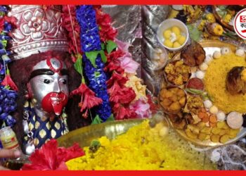 Tarapith Vog: মাছ মাংস পোলাও থেকে শুরু করে নানান মিষ্টি! মা তারার ভোগে বিশেষ চমক