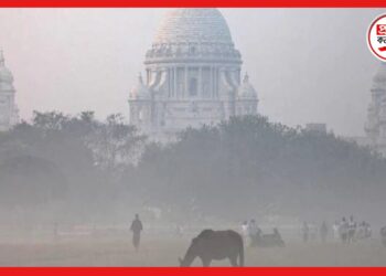 Weather update: শীতের আমেজ জেলায় জেলায়, উত্তরের হাওয়ায় কমছে রাজ্যের তাপমাত্রা