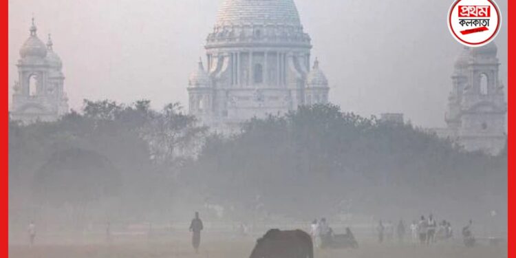 Weather update: শীতের আমেজ জেলায় জেলায়, উত্তরের হাওয়ায় কমছে রাজ্যের তাপমাত্রা
