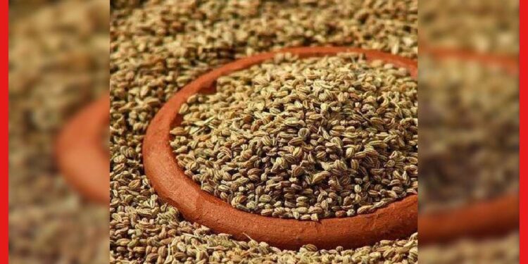 Ajwain: হজমের জন্য খাচ্ছেন মুঠো মুঠো জোয়ান ? হতে পারে হিতে বিপরীত