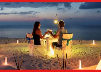 Honeymoon Coordinator Business: বিয়ের মরসুমে হয়ে যান হানিমুন প্ল্যানার, মোটা টাকা আয়ের সুযোগ