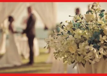 Wedding Venue Rental: অভিনব বিয়ের ভেনিউ খুঁজে দিতে পারলেই কেল্লা ফতে! দু-হাতে হবে রোজগার