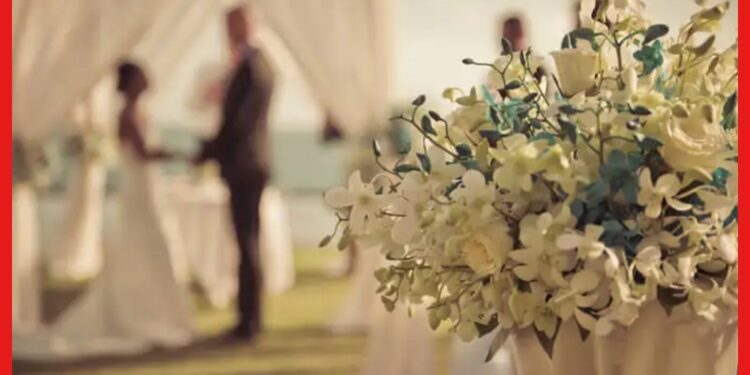 Wedding Venue Rental: অভিনব বিয়ের ভেনিউ খুঁজে দিতে পারলেই কেল্লা ফতে! দু-হাতে হবে রোজগার