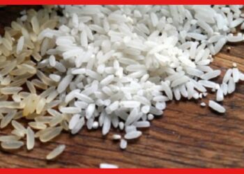 Plastic rice in ration: আগুন দিলে প্লাস্টিকের মত গলে যাচ্ছে রেশনের চাল, চাঞ্চল্যকর অভিযোগ গ্রাহকদের