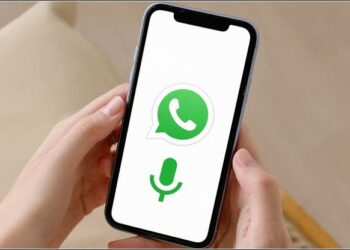 চ্যাট না এবার WhatsApp স্ট্যাটাসেই দেওয়া যাবে ভয়েস নোট, আসছে নতুন ফিচার