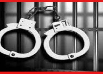 Delhi Police: অস্ট্রেলীয় তরুণীকে হত্যার পর ফেরার, দিল্লি পুলিশের হাতে গ্রেফতার অভিযুক্ত