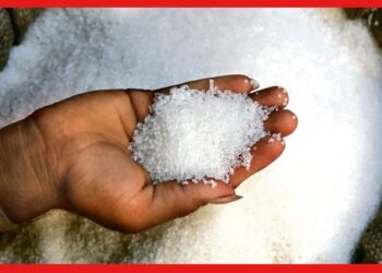 Sugar: আন্তর্জাতিক বাজারে ভারতীয় চিনির চাহিদা প্রবল, রফতানিতে লাগাম লাগিয়েছে কেন্দ্র
