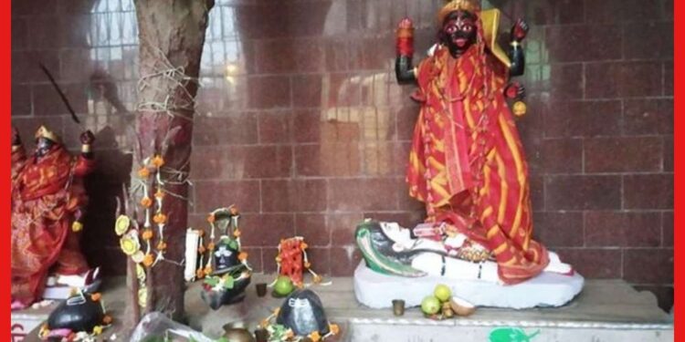 Kolkata: কলকাতার বুকে চীনাদের তৈরি কালী মন্দির! কোথায় জানেন?