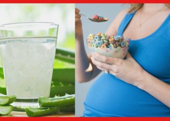 Aloe Vera during pregnancy: গর্ভাবস্থায় অ্যালোভেরা জুস খাচ্ছেন? হতে পারে ক্ষতি