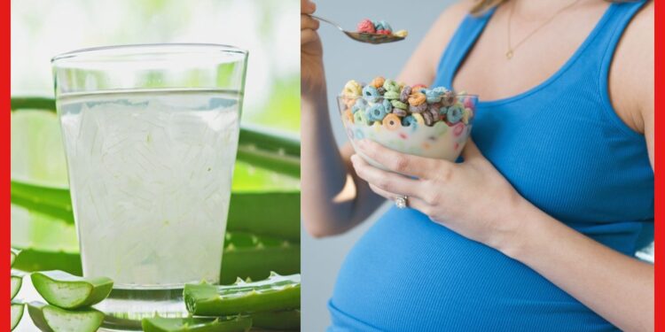 Aloe Vera during pregnancy: গর্ভাবস্থায় অ্যালোভেরা জুস খাচ্ছেন? হতে পারে ক্ষতি