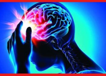 Brain Stroke In Winter: শীতকালে বেড়ে যায় ব্রেন স্ট্রোকের ঝুঁকি, সুস্থ থাকতে মেনে চলুন এই টিপস