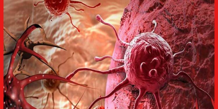 Ways To Reduce Cancer Risk In Women : ক্যানসার থেকে দূরে থাকবেন মহিলারা, এই ৬টি কাজ অবশ্যই করুন