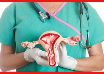 Cervical Cancer: জরায়ু ক্যানসার থেকে সাবধান, এই উপসর্গগুলি দেখলেই বিশেষজ্ঞের পরামর্শ নিন