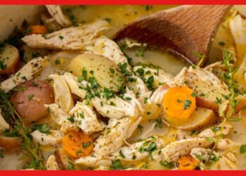 Chicken stew: শীত মানেই চিকেন স্ট্যু, কেন খাবেন জানেন
