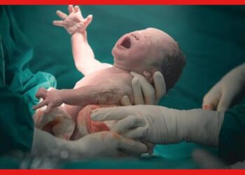 Human Babies in Labs: মায়ের গর্ভ ছাড়াই জন্মাবে শিশু, তৈরি হচ্ছে বিশেষ ল্যাব