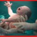 Human Babies in Labs: মায়ের গর্ভ ছাড়াই জন্মাবে শিশু, তৈরি হচ্ছে বিশেষ ল্যাব