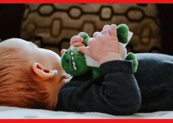 Parenting: আপনার বাচ্চাও রাতে খেলনা নিয়ে ঘুমোচ্ছে! আদৌ কি তা নিরাপদ?