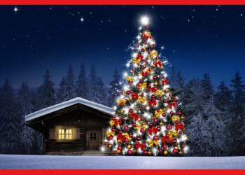 Christmas Day Celebration : বড়দিন পালিত হবে না পৃথিবীর এই দেশ গুলিতে, কারণ জানলে অবাক হবেন আপনিও
