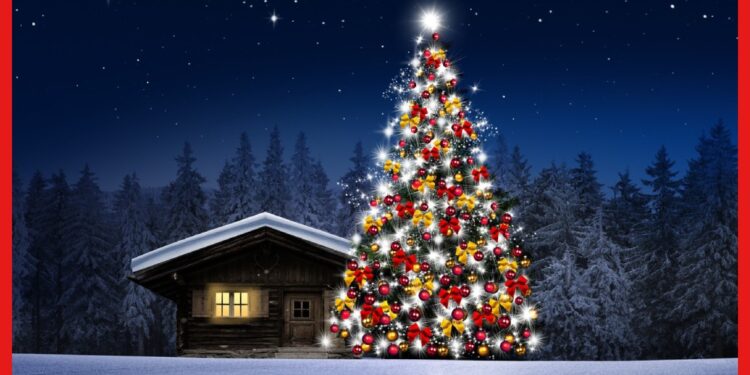 Christmas Day Celebration : বড়দিন পালিত হবে না পৃথিবীর এই দেশ গুলিতে, কারণ জানলে অবাক হবেন আপনিও