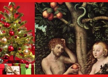 Christmas Tree and Adam-Eve: অ্যাডম-ইভের জন্যই প্রথম পোঁতা হয়েছিল ক্রিসমাস ট্রি! আসল গল্পটা কী ?
