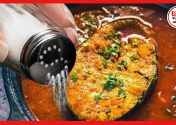 Cooking Tips: রান্নায় লবণ বেশি হলে যোগ করুন ময়দা আর আলু, জেনে নিন সহজ টিপস