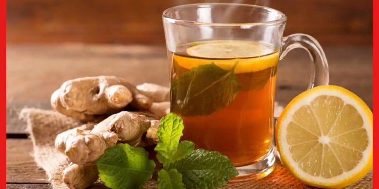 Immunity Booster Drinks: সংক্রামক ভাইরাস থেকে বাঁচতে চান ? রোজ পান করুন এই পানীয়