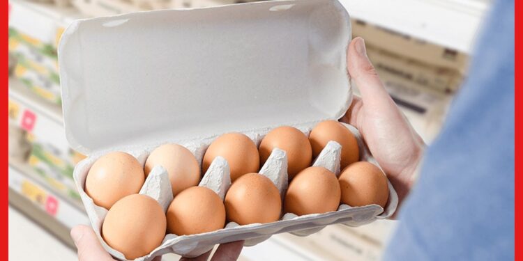 Egg Price Hike: বেড়েছে পাইকারি মূল্য, বাংলায় রেকর্ড দামে বিক্রি হচ্ছে ডিম