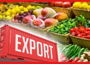 Agricultural Export: ভারতের খাদ্যদ্রব্যের রপ্তানি বৃদ্ধি পাচ্ছে দ্রুতগতিতে, পরিবর্তন আনবে মিলেট বর্ষ